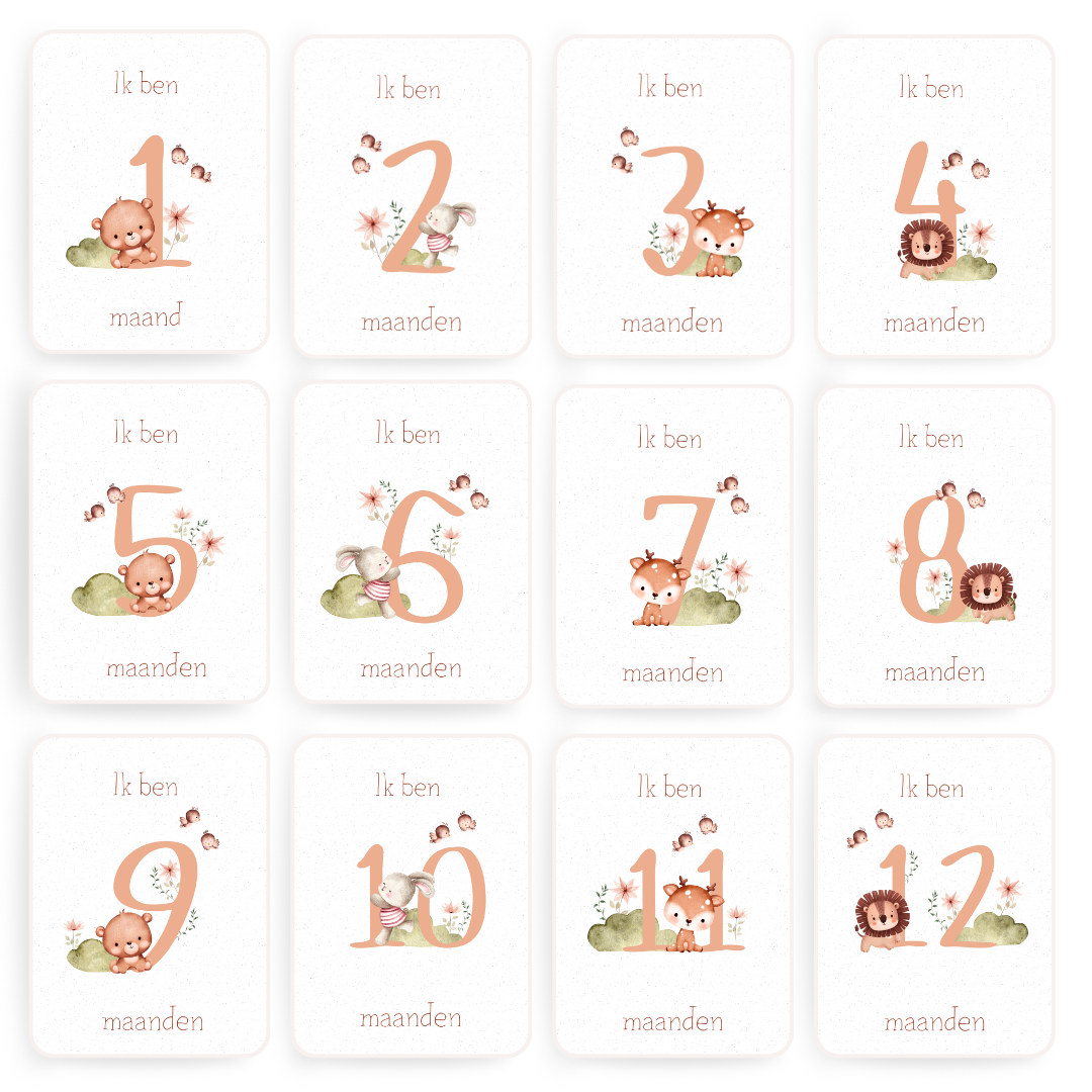 Mijlpaalkaart Jonge dieren