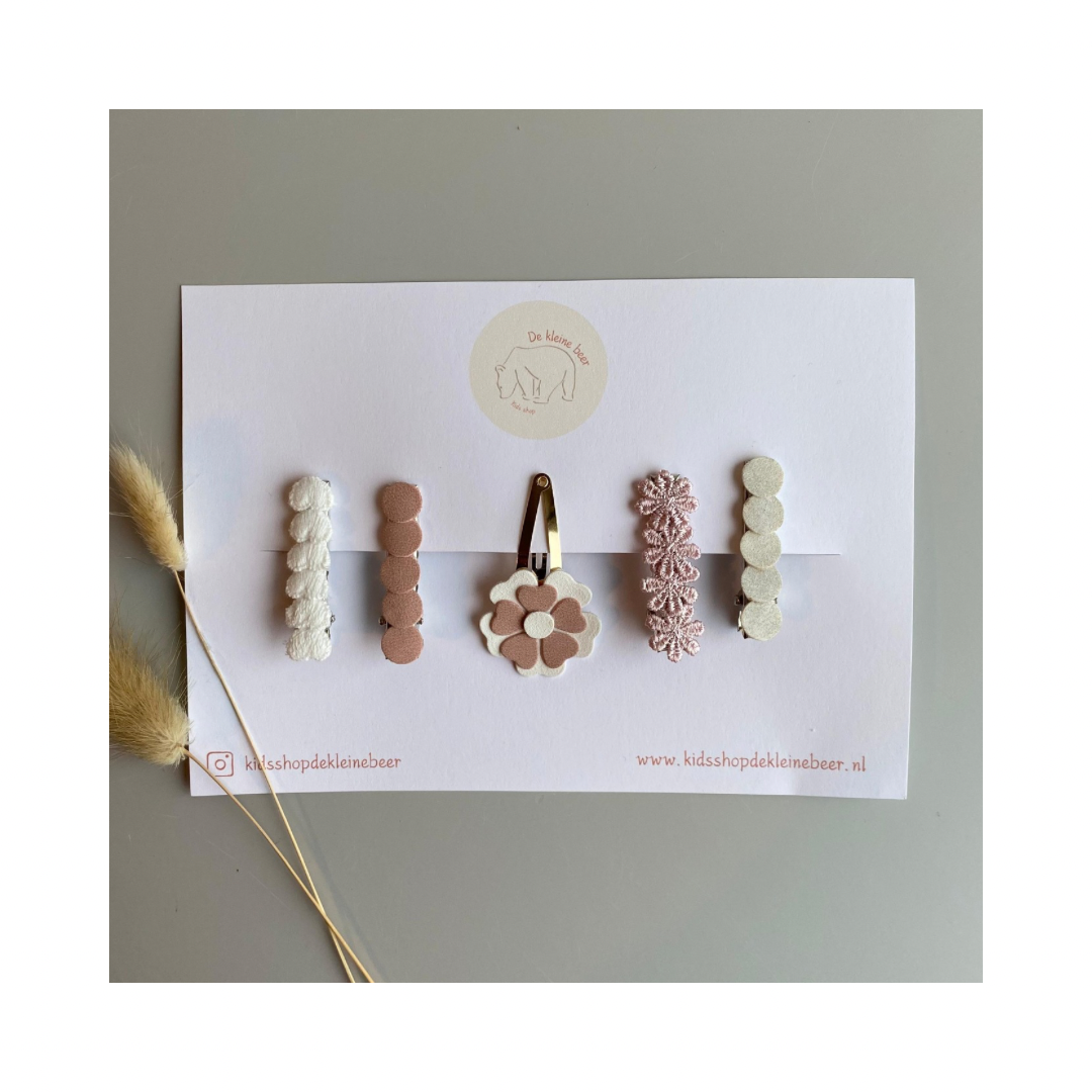 Hairclip gift set