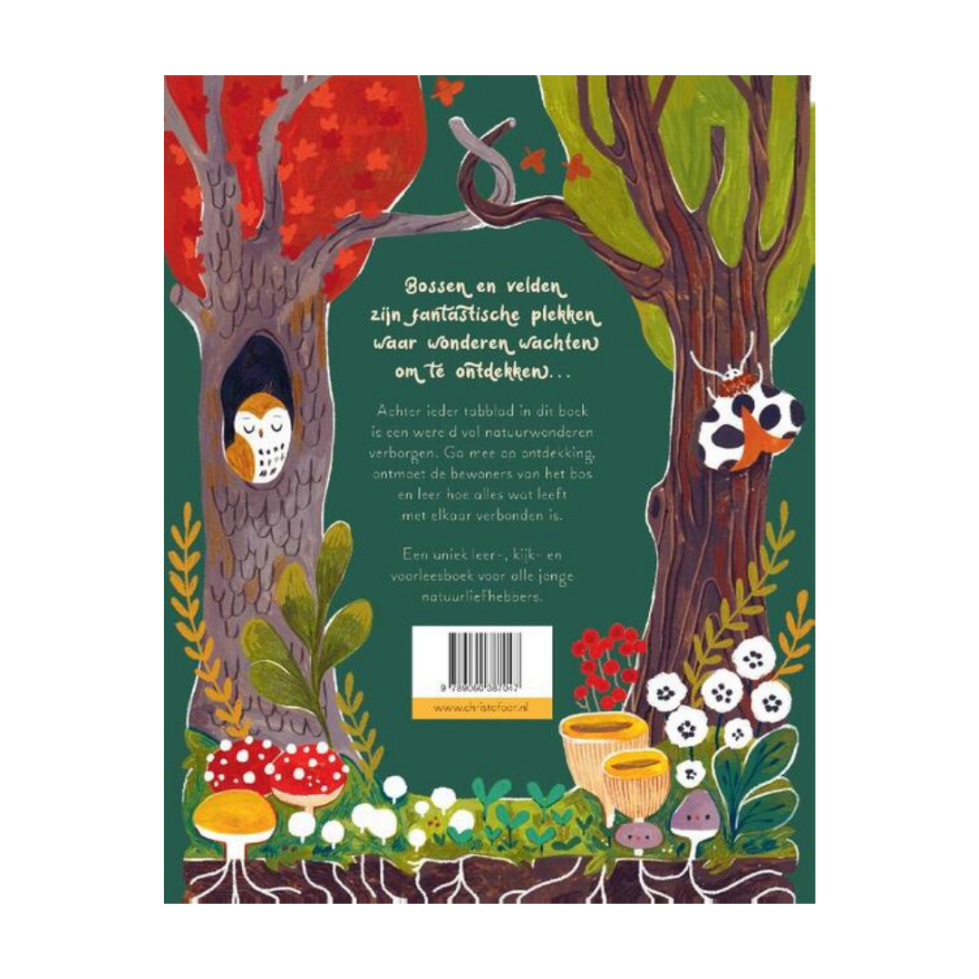 Een woud vol wonderen