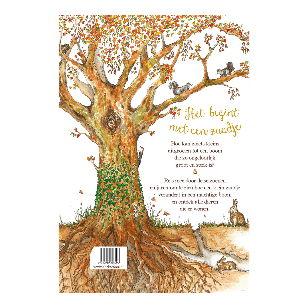 Het begint met een zaadje
