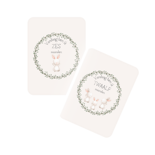 Mijlpaalkaart Konijn