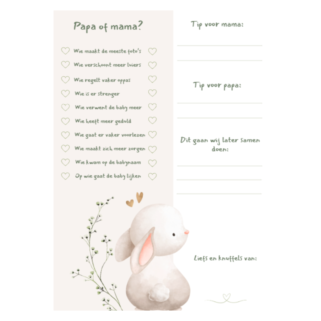 Invulkaarten babyshower incl. bewaarring