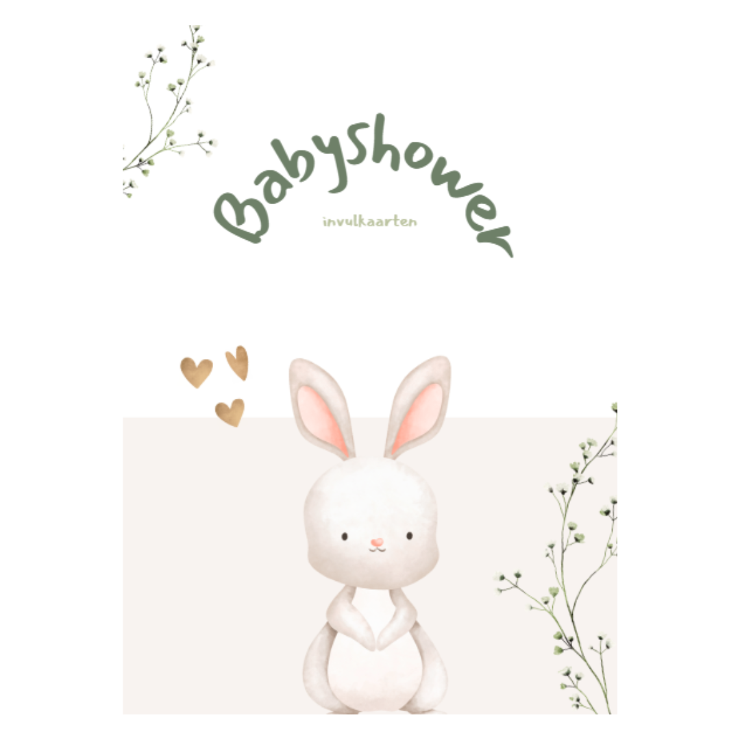 Invulkaarten babyshower incl. bewaarring