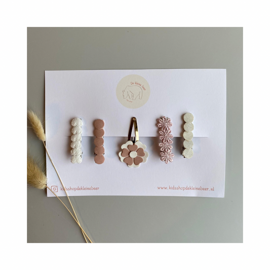 Hairclip gift set
