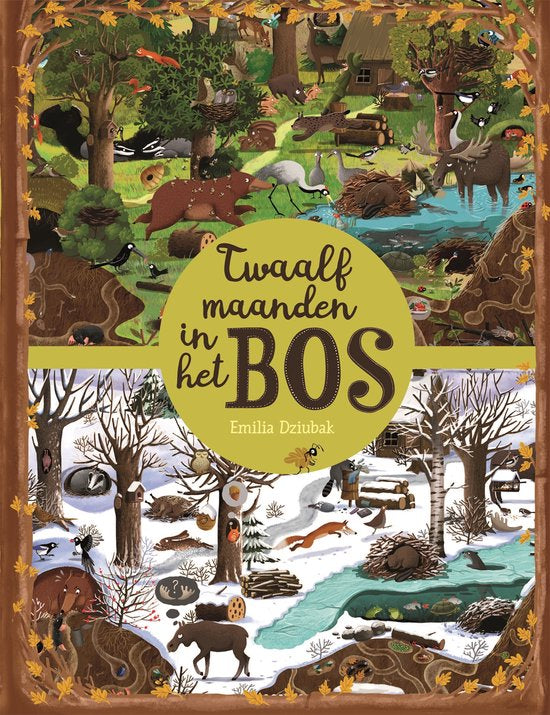 Twelve months in the forest