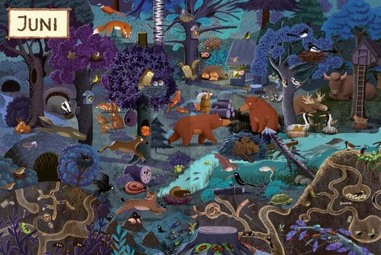 Twelve months in the forest