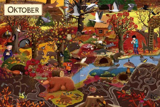 Twelve months in the forest
