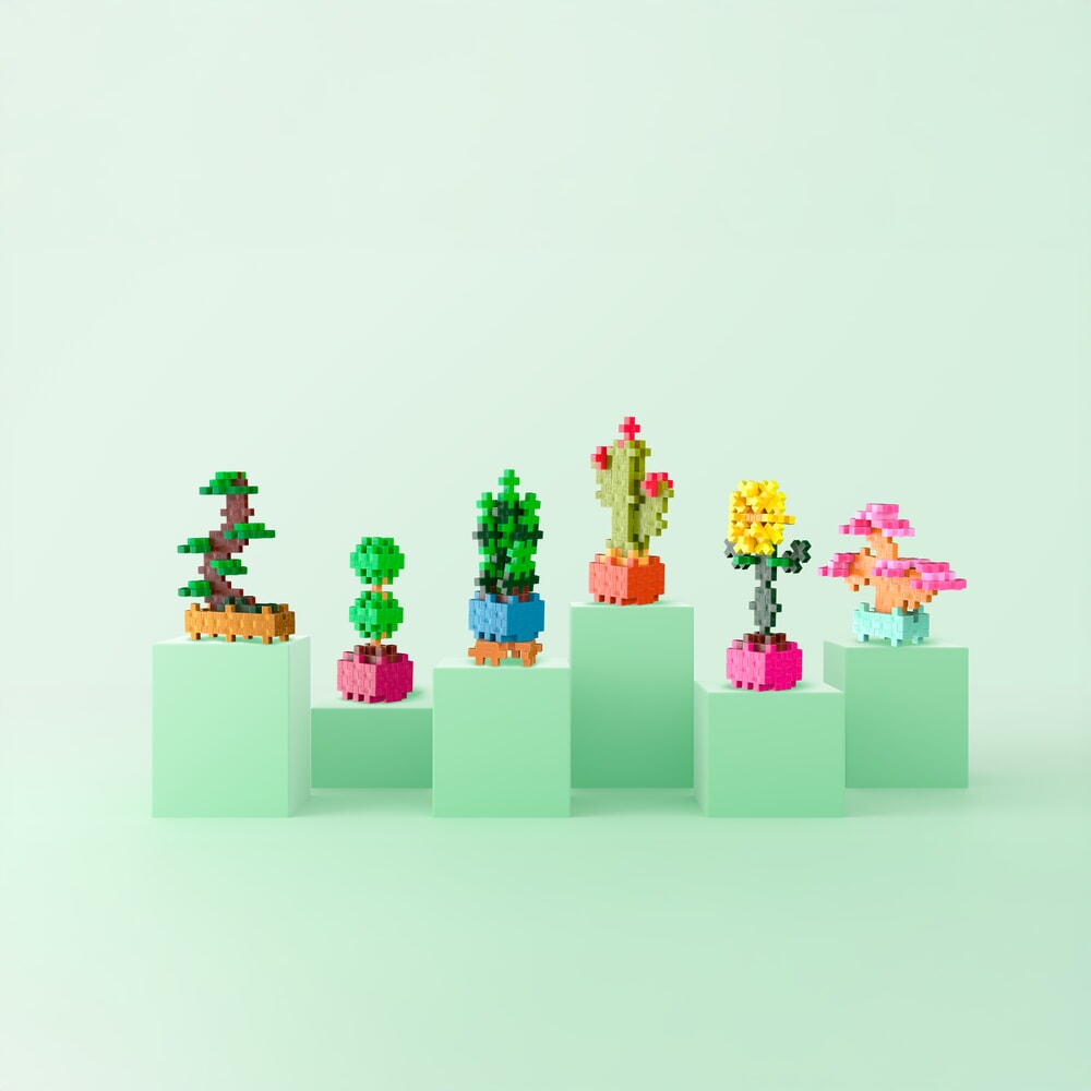 Plant Packs – Cactus Plus-Plus Flowers &amp; Plants