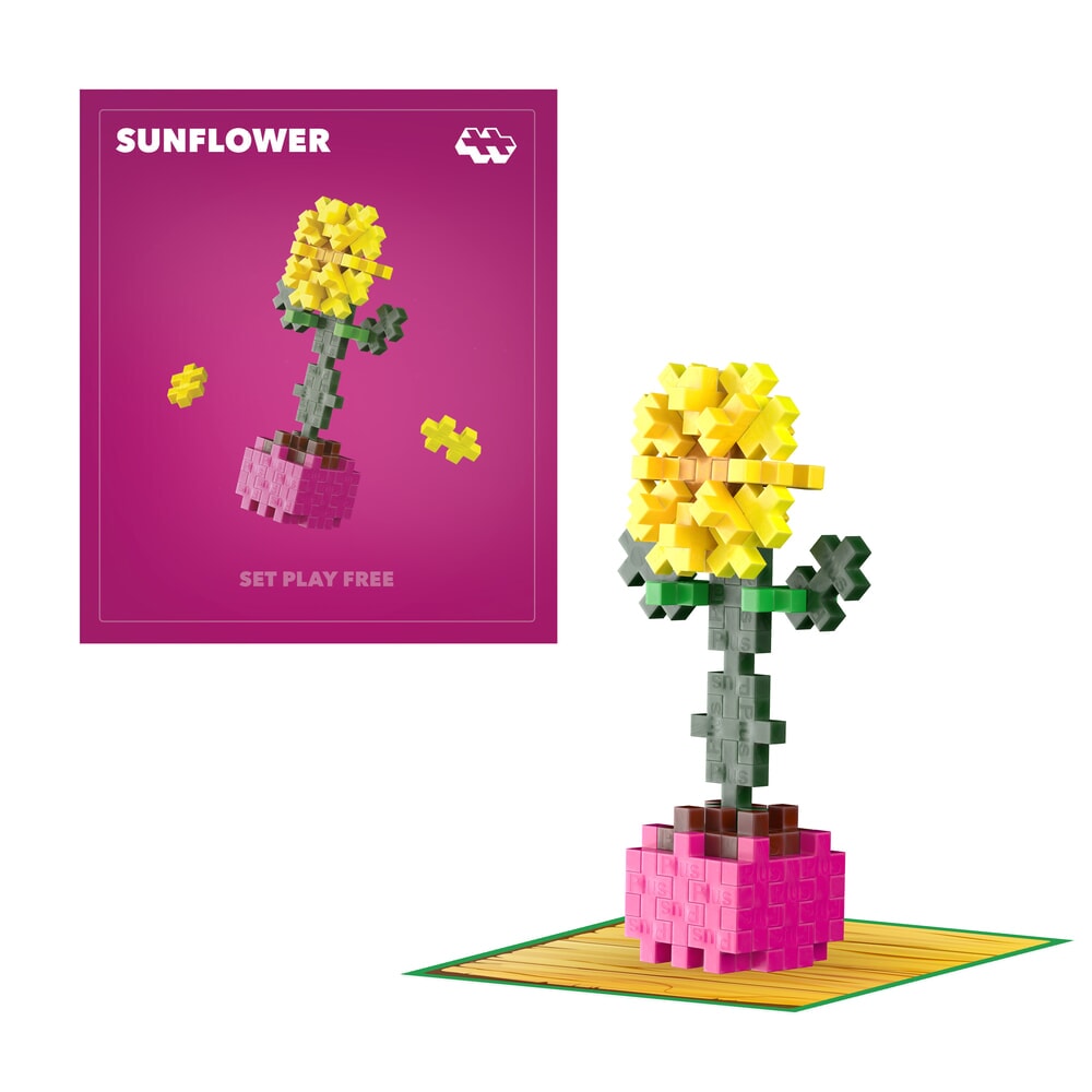 Plant Packs - Sunflower Plus-Plus Flowers & Plants