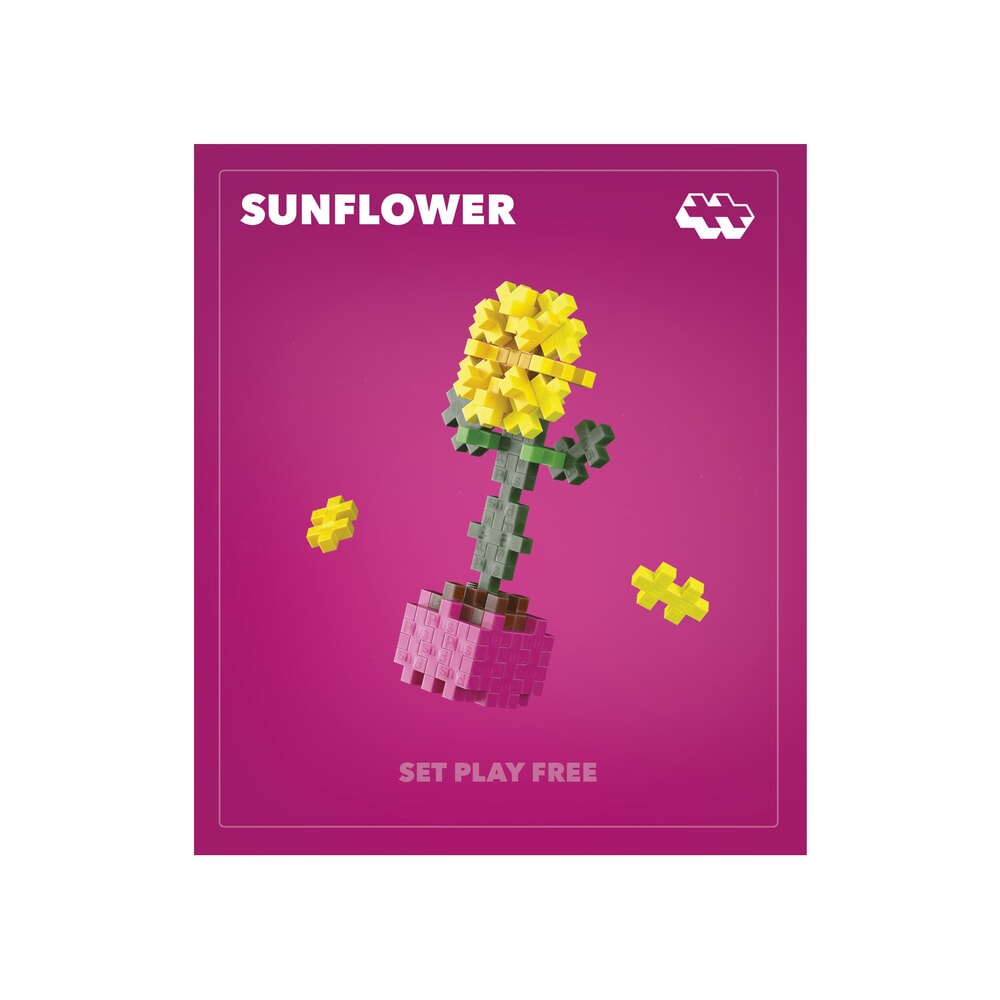 Plant Packs - Sunflower Plus-Plus Flowers & Plants