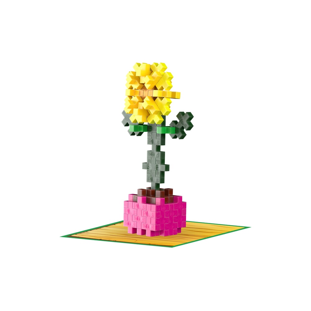 Plant Packs - Sunflower Plus-Plus Flowers & Plants