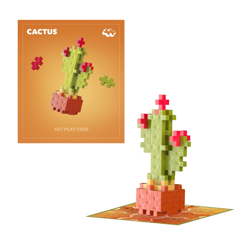 Plant Packs – Cactus Plus-Plus Flowers &amp; Plants