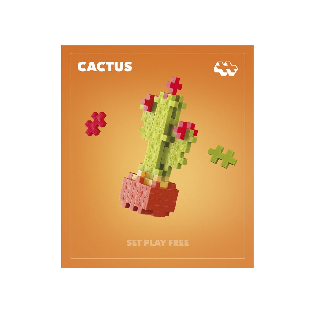 Plant Packs – Cactus Plus-Plus Flowers &amp; Plants