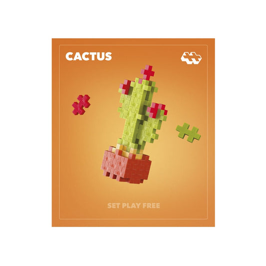Plant Packs – Cactus Plus-Plus Flowers &amp; Plants